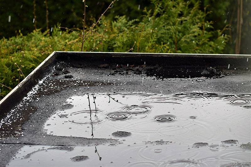 Water pooling on flat roof